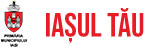 Vot - Primaria Municipiului Iași